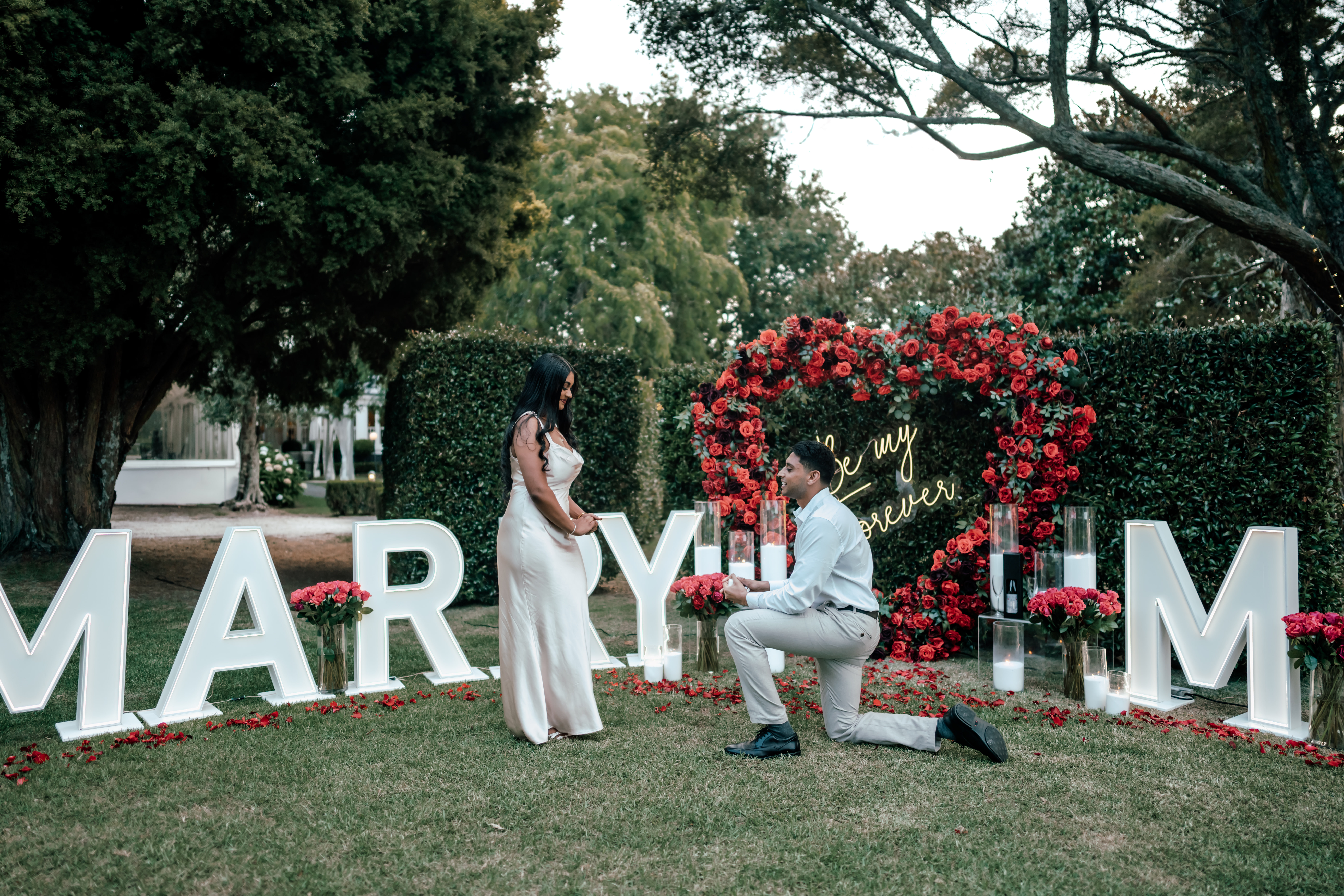 Romantic Valentine’s Day proposal at Allely Estate in New Zealand, with elegant decor and golden sunlight, captured by Auckland proposal photographer Zanthe Vorsatz.