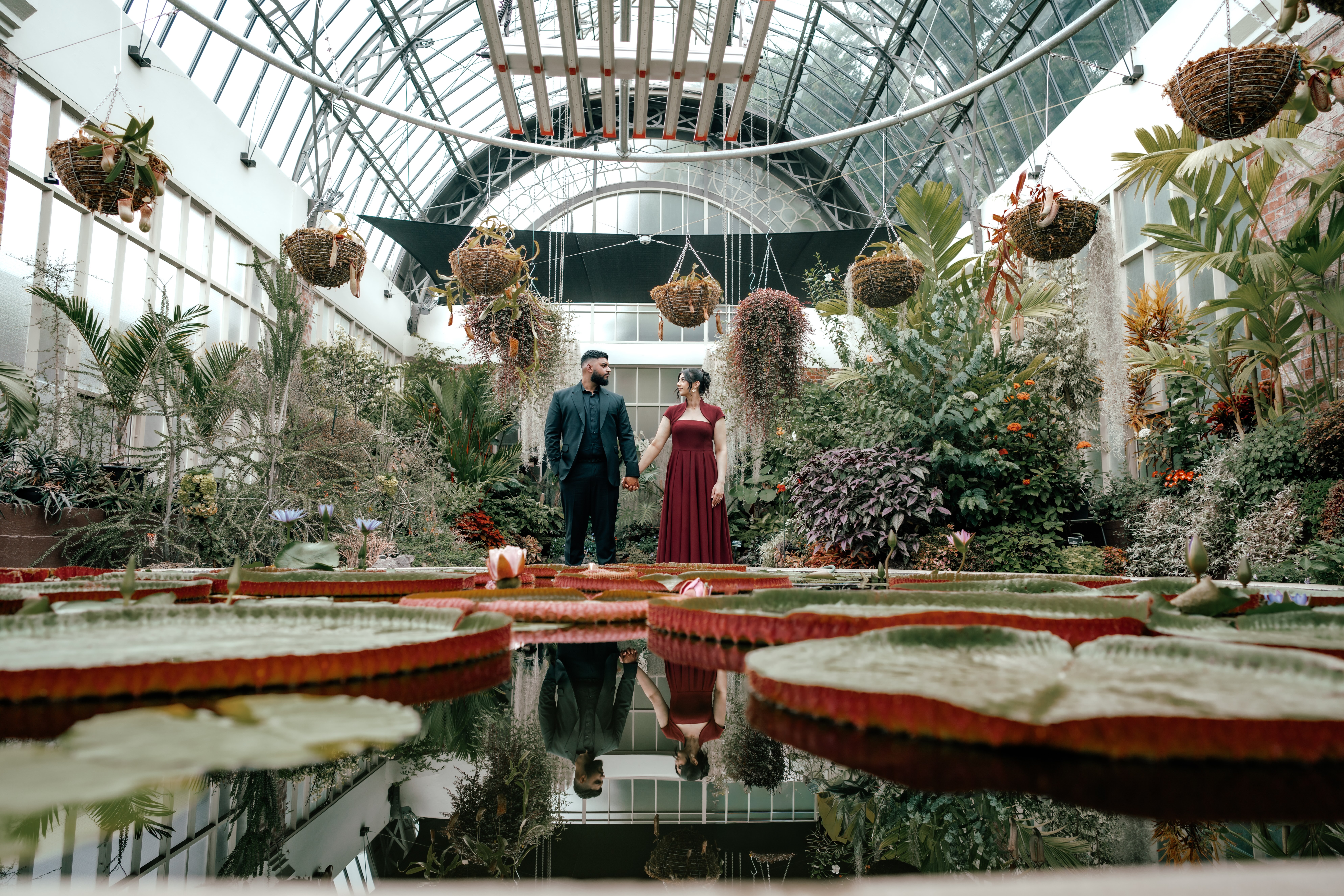 Jasmeen and Akash couples photoshoot at Auckland Wintergardens